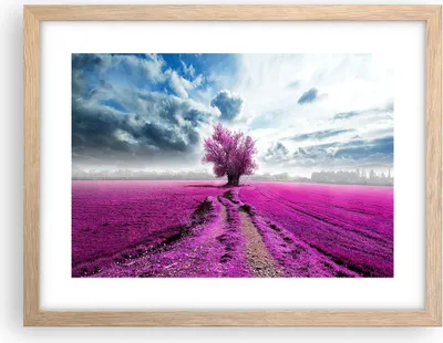 Produktbild von Gerahmtes Poster - Rahmen in heller Eiche - Heidefeld Baum Wolken Landschaft - 40x30 cm - Wand Bild - Wanddeko - Wandbilder - Wandposter - Bilderrahmen - Bilder - Kunstdruck - P2NAA40x30-2547