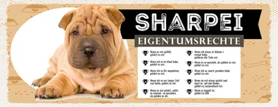 Produktbild von vianmo Holzschild 10x27 cm Hund Sharpei Eigentumsrechte