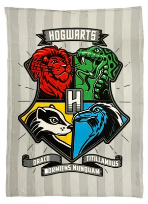 Produktbild von Harry Potter Decke für Kinder Fleece-Decke 130 x 170 cm