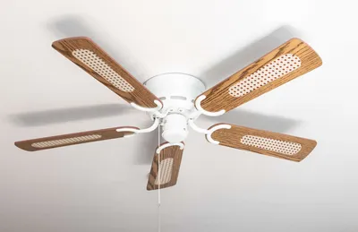 Image de Ventilateur de plafond Pepeo Kisa Deluxe Blanc 105 cm pales Chêne / Noyer