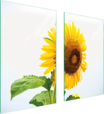 Immagine prodotto di Piastre copri fornelli 2 pezzi 75x52 Copri piano cottura in Vetroceramica tagliere in vetro giallo girasole