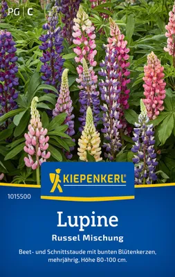 Produktbild von Kiepenkerl Lupinensamen Russel 20 Pflanzen