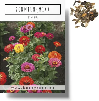 Produktbild von Zinnien Samen Mix (Zinnia) - Farbenprächtige Sommerblumen für das Beet, den Balkon, die Terrasse und als Schnittblume in Vasen