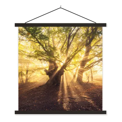 Produktbild von MuchoWow® Textilposter Baum - Wald - Sonne 40x40 cm mit schwarzem Rahmen - Fotos