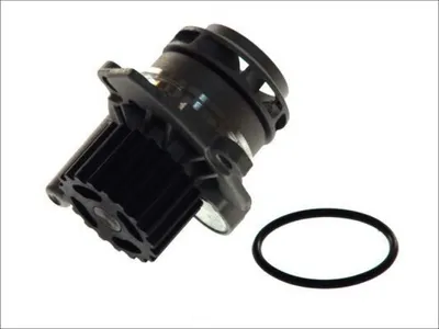 Produktbild von THERMOTEC Kühlmittelpumpe Wasserpumpe für VW Golf IV Schrägheck (1J1) D1W039TT
