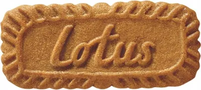 Produktbild von Lotus Bakeries 5410126716016, Plätzchen, 250 g, Rechteck, 484 kcal, 2032 kJ, 4,9 g