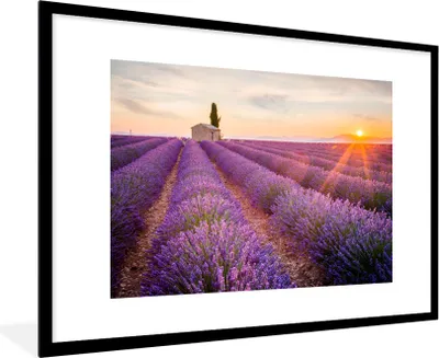 Produktbild von MuchoWow® Gerahmtes Poster Lavendel - Sonnenuntergang - Blumen - Lila 90x60 cm - Poster mit Schwarzem Bilderrahmen Wandposter Rahmen Foto Bilder - Wanddekoration - Fotos
