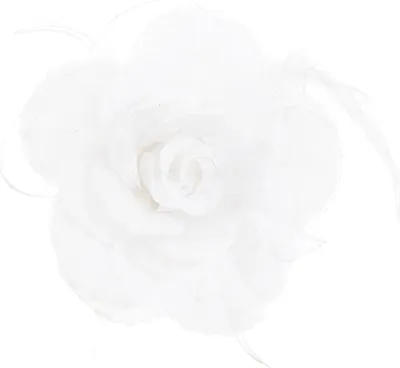 Produktbild von Ansteckblume, weiß