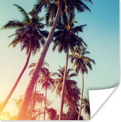 Produktbild von MuchoWow® Poster Palme - Sommer - Retro - Sonne 100x100 cm - Babyzimmer