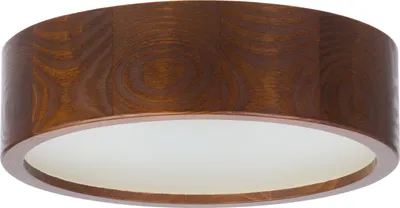 A close-up, straight-on view of a round, wooden ceiling light fixture with a white diffuser.