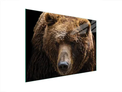 Image de Planche à découper en verre 40 x 30 cm, motif ours en peluche