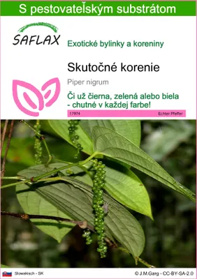 Produktbild von SAFLAX - skutočné korenie - Piper nigrum - 20 Semená - S pestovateľským substrátom bez klíčkov