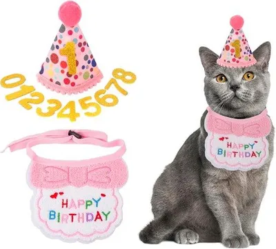 Immagine prodotto di Decorazioni a tema gatti per una bambina, cappellino rosa con gatti, decorazioni digitali per il compleanno di un animale domestico, costume da bambina