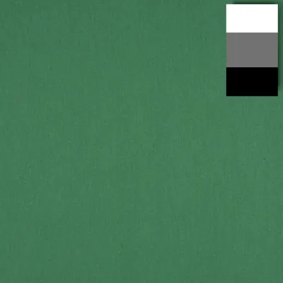 Image de Walimex Fond en tissu 2,85x6m, vert émeraude
