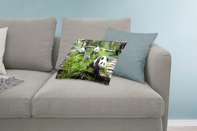 Produktbild von MuchoWow® Zierkissen Sofakissen Wohnzimmer Dekokissen 60x40 cm Pandas - Bambus - Blätter - Kopfkissen - Polster mit Foto