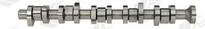 Produktbild von AE CAM912 Nockenwelle für VW Transporter V Bus (7HB, 7HJ, 7EB, 7EJ, 7EF, 7EG, 7HF, 7EC) Multivan V (7HM, 7HN, 7HF, 7EF, 7EM, 7EN) Touareg