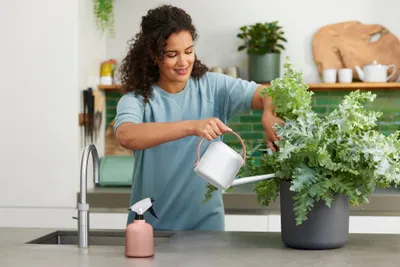Produktbild von Sprühgerät B.for Soft 0,6 l Rose - Elho
