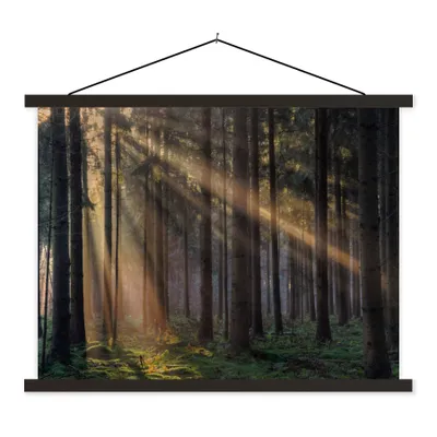 Produktbild von MuchoWow® Textilposter Bäume - Wald - Sonne - Pflanzen 150x113 cm mit schwarzem Rahmen - Wohnzimmer