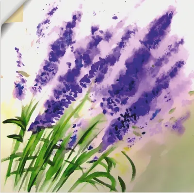 Produktbild von ARTland Wandbild, selbstklebend Lavendel-aquarell Größe: 40x40 cm