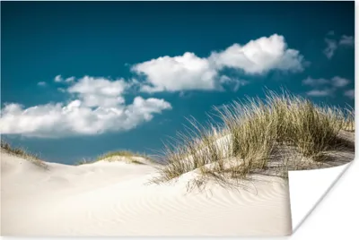Produktbild von MuchoWow® Poster Strand - Dünen - Gras 120x80 cm - Bilder