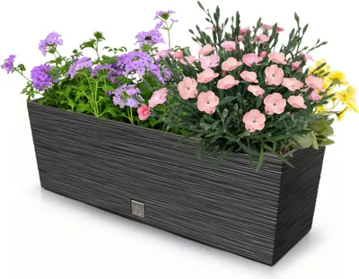 Produktbild von Blumenkasten Meißel Balkonkasten Pflanzkasten Anthrazit L 58 cm mit Topf Einsatz Pflanzkübel Einzigartiger Blumentopf Kunststoff