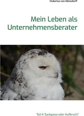 Produktbild von Mein Leben als Unternehmensberater