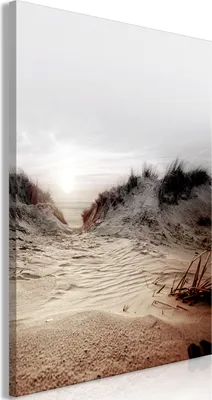 Produktbild von Vlies Leinwandbild - Way Through the Dunes (1 Part) Vertical 20x30 cm Landschaften c-B-0589-b-a