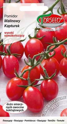 Produktbild von Samen der Cherrytomate - Torseed