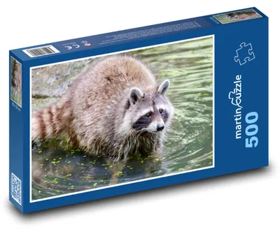 Obrázok produktu pre Puzzle 500 Mýval pri vode - martinpuzzle