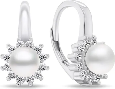 Produktbild von Elegante Silberohrringe mit Zirkonen EA788W