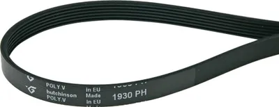 A black serpentine belt with text printed on it, isolated on a white background.