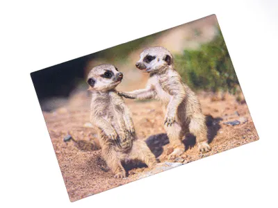 Produktbild von 3 D Ansichtskarte Erdmännchen Babys, Erdmann Afrika Postkarte Wackelkarte Hologrammkarte Tiere
