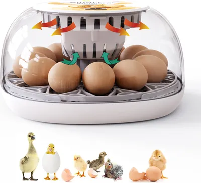 Produktbild von Inkubator Vollautomatisch, Brutmaschine 12 Eier-Brutapparat mit Display, Temperaturregelung Ei Inkubation Hatcher für Hühnergans, Ente, Taube, Wachtel