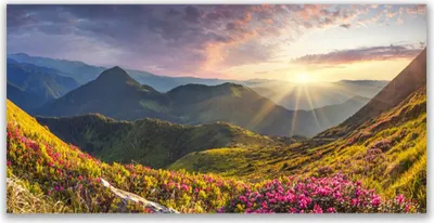 Produktbild von Acrylglasbilder 120x60 Wandbild Druck Gebirge Wiese Sonne Landschaft