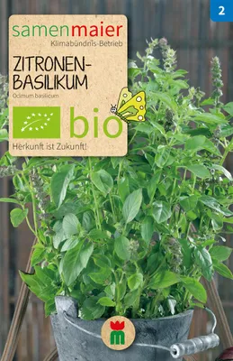 Artikelbild 1 von 'BIO Zitronenbasilikum' aus der Kategorie Basilikumsamen