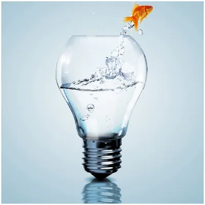 Produktbild von Wallario Premium Glasbild, freischwebende Optik, kräftige Farben, Größe 30 x 30 cm Motiv Goldfisch springt aus Aquarium