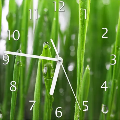 Produktbild von Wallario Design Wanduhr Wassertropfen an Grashalmen aus Echtglas, Größe 20 x 20 cm