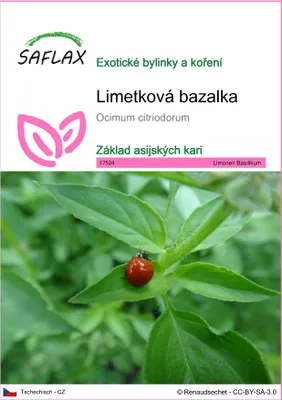 Obrázek produktu pro SAFLAX - Limetková bazalka - Ocimum citriodorum - 200 Semena