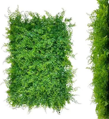 Immagine prodotto di Parete verde artificiale con filodendro e thuja