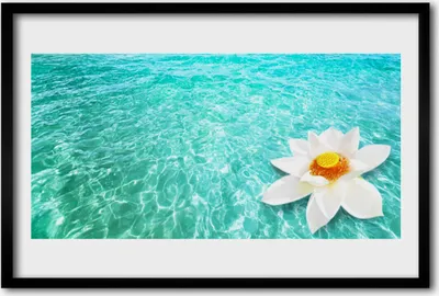 Produktbild von Bild 60x40 MDF-Rahmen Wandkunst Wasser-Blumen-Kunst