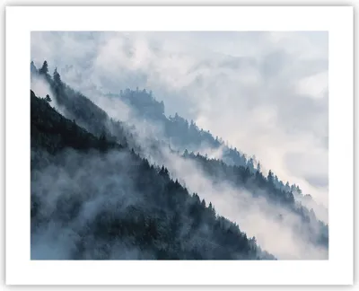 Produktbild von Poster - Poster ohne Rahmen - Berge Nebel Bäume - 50x40 cm - Wand Bild - Wanddeko - Wandbilder - Kunstposter - Wandposter - Bilder - Kunstdruck - Wanddekoration - Wandbild - P2XAA50x40-4429
