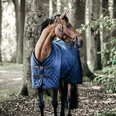 Produktbild von Kentucky Horsewear Stalldecke 0g Stable Rug Pferdedecke Navy 140