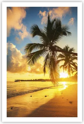 Produktbild von Poster - Poster ohne Rahmen - Meer Strand Palme - 61x91,5 cm - Wand Bild - Wanddeko - Wandbilder - Kunstposter - Wandposter - Bilder - Kunstdruck - Wanddekoration - Wandbild - P2XPA61x91-3922
