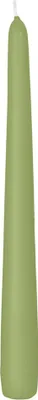 Produktbild von Spitzkerzen Pastell Grün/Aloe Vera 250 x 25 mm, Inhalt 12 Stück