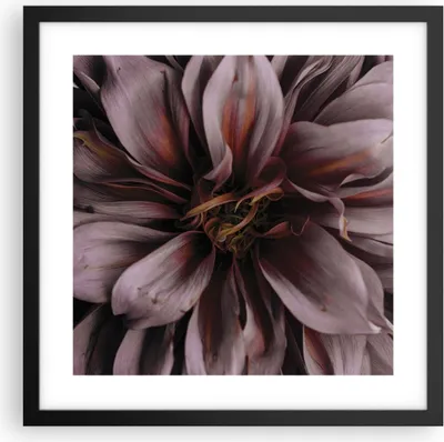 Produktbild von Gerahmtes Poster - Schwarzer Rahmen - Blumenstrauß Künstlerisch Blume - 40x40 cm - Wand Bild - Wanddeko - Wandbilder - Kunstposter - Wandposter - Bilderrahmen - Bilder - Kunstdruck - P2BAC40x40-5019