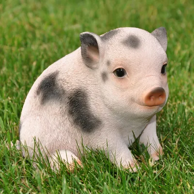 Produktbild von Dekofigur Gartenfigur Schwein / Ferkel