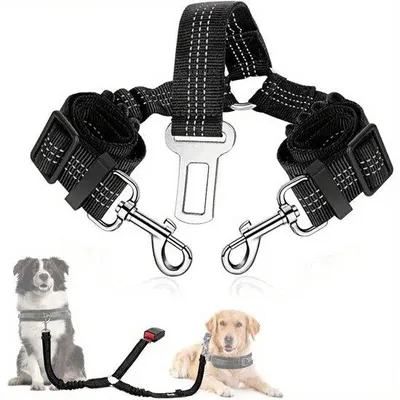 Image de Laisse pour chien à double crochet | Accessoires pour animaux