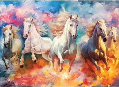 Image de Puzzle ANATOLIEN Liberté 1000 pièces