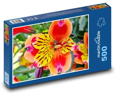 Obrázek produktu pro martinpuzzle - Puzzle 500 - Květ lilie