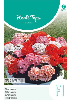 Produktbild von Pelargonie Magic Beauty F1 Mischung | Blumensamen von Hortitops